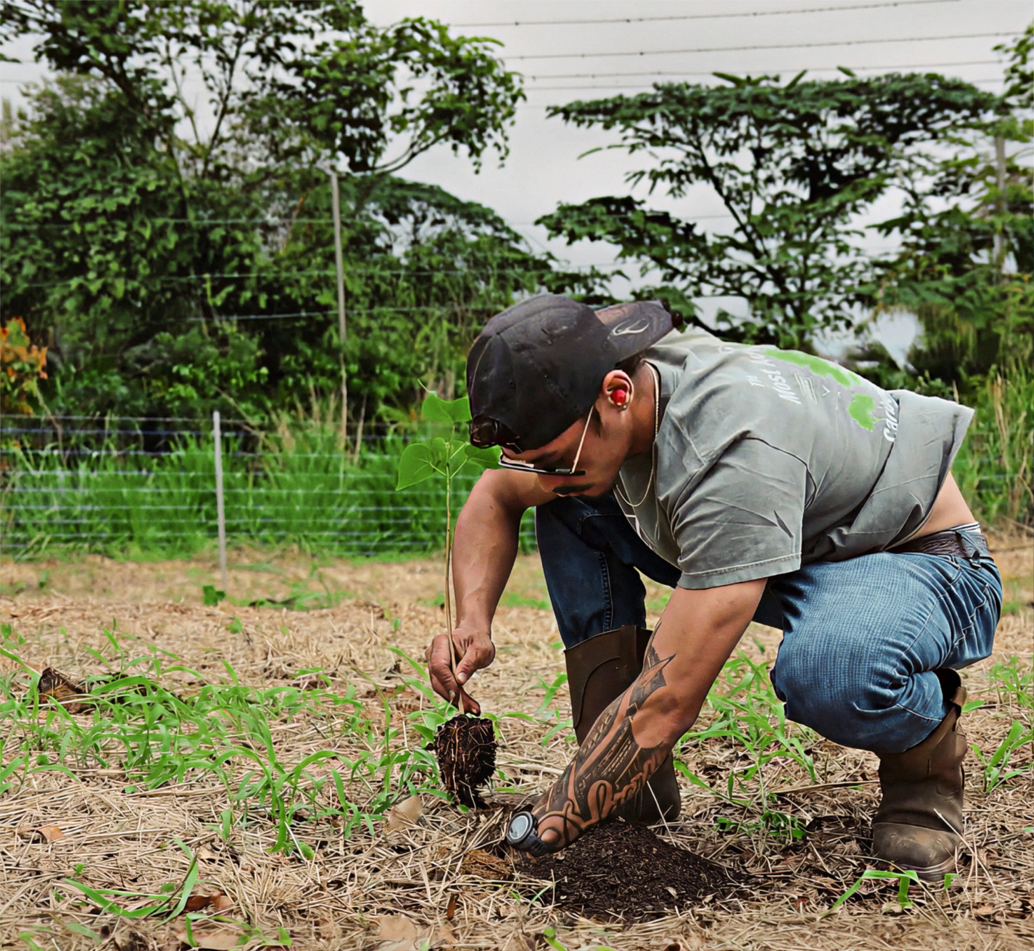 A crew member kneeling to plant a native seedling in Hawaiʻi Island soil