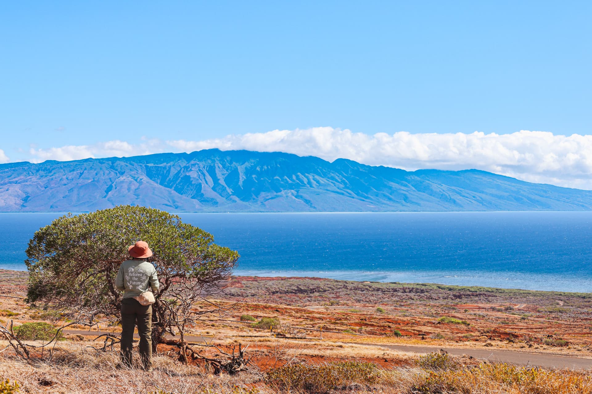 A person in a Reforest the Future shirt looking out over the ocean toward a Hawaiian island ridgeline